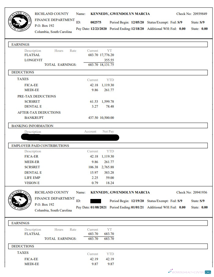 Download Richland County Finance Department paystub Photoshop template